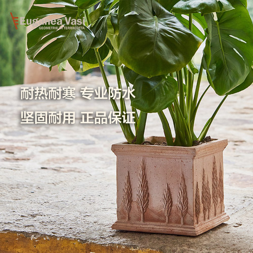 意大利进口丝柏长条形手工陶盆