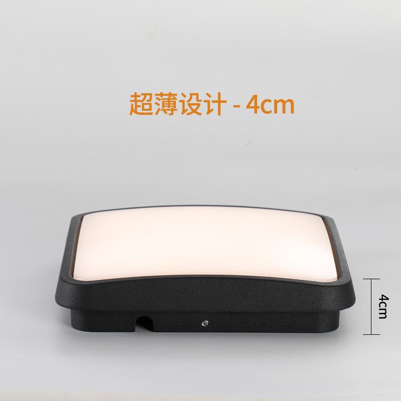 户外防水吸顶灯人体感应别墅阳台走廊楼梯民宿入户大门三防吸顶灯