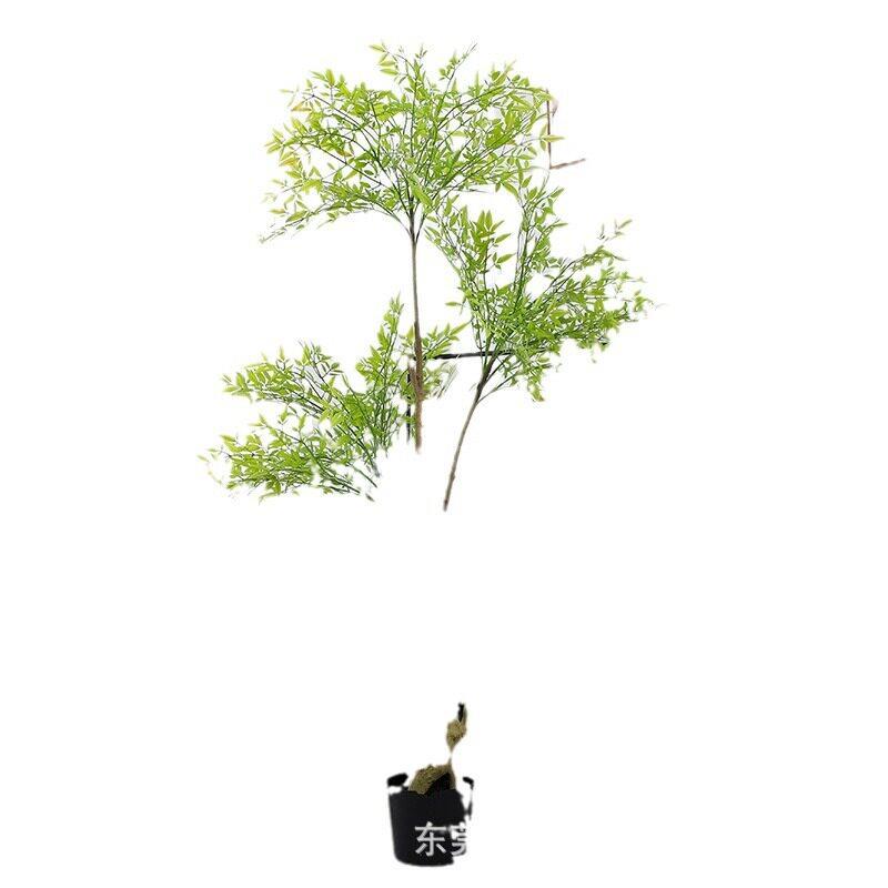 欧式风仿真植物南天竹仿真盆栽仿生绿植盆景假树造景客厅落地花艺