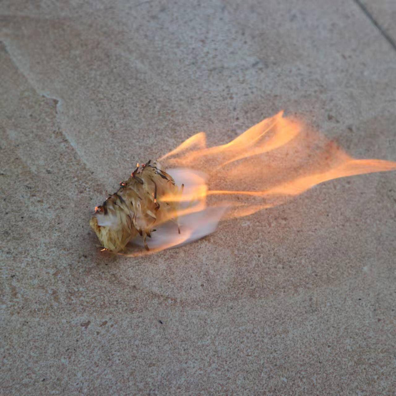 烧烤引火神器户外木炭生火点火碳助燃剂露营速燃引燃块防水蜡木条