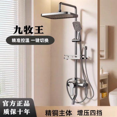 正品全铜淋浴花洒套装增压枪灰