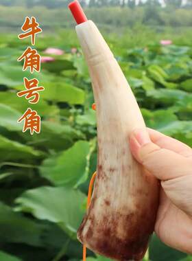 天然黑水牛角号云南民族工艺品长号角可吹响喇叭比赛演出道士乐器