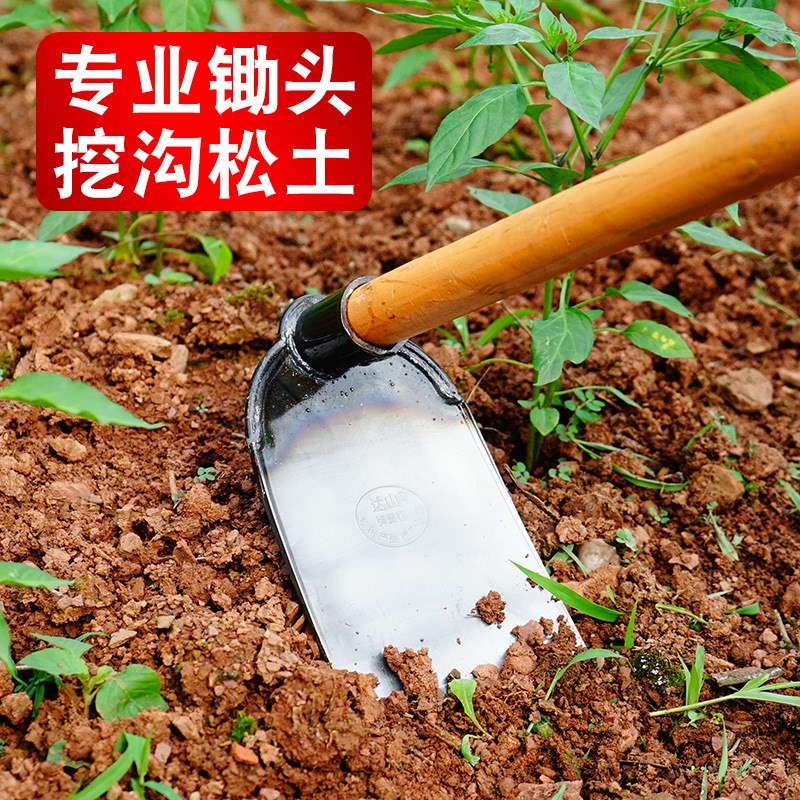 锄头农用锰钢一体家用种菜挖笋专用锄草翻地小型新型挖土开荒工具