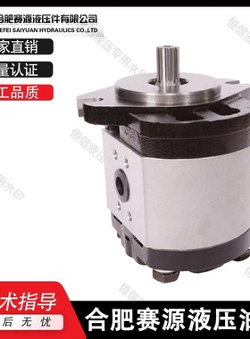合肥赛源齿轮泵CBF-E510/514/516/520/525/532/540-AL 液压油泵