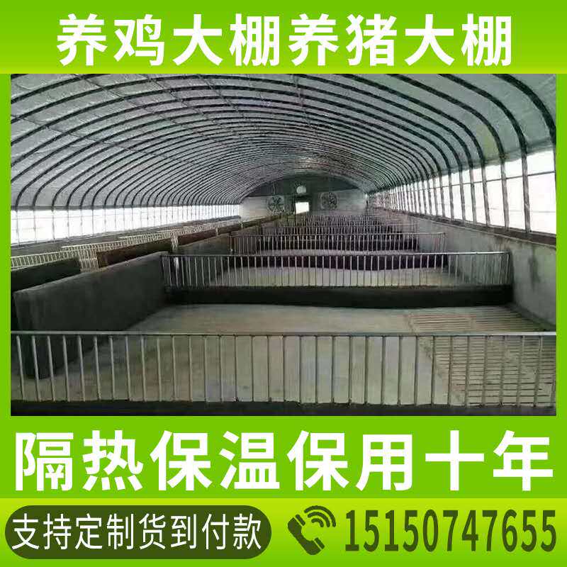 极速新殖大棚骨架钢管全套保温猪舍养猪牛羊大棚椭圆R管养鸡场鸡