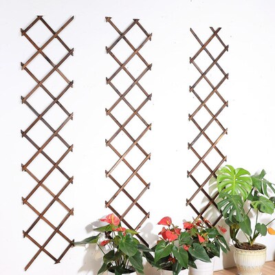 Expanding wood Garden Wall Fence Panel Plant Climb Trellis S