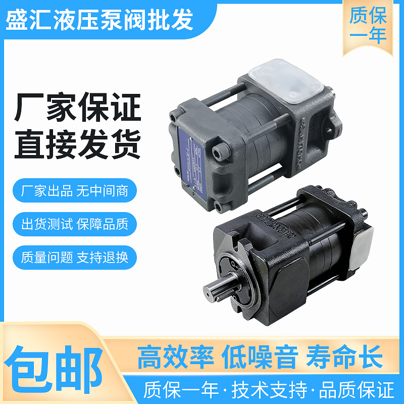 盛汇机械QT23-4/5/6.3/8-A系列电动高压液压齿轮压力帮浦注塑机油