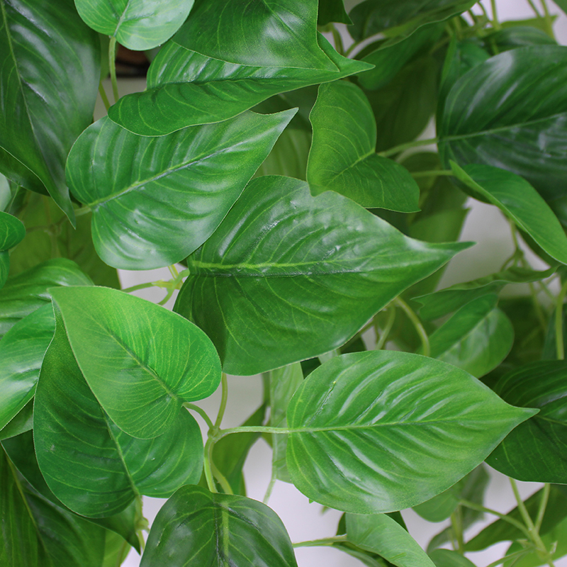 仿真植物绿萝壁挂吊兰假花藤条藤蔓绿植室内阳台客厅墙面吊顶装饰