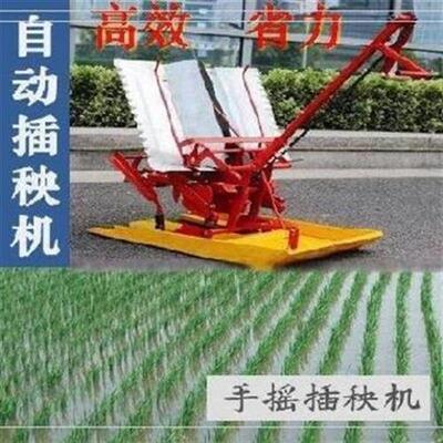 极速型田地链扶手g条水稻插秧机全自动微J型好用水稻作机操种穴