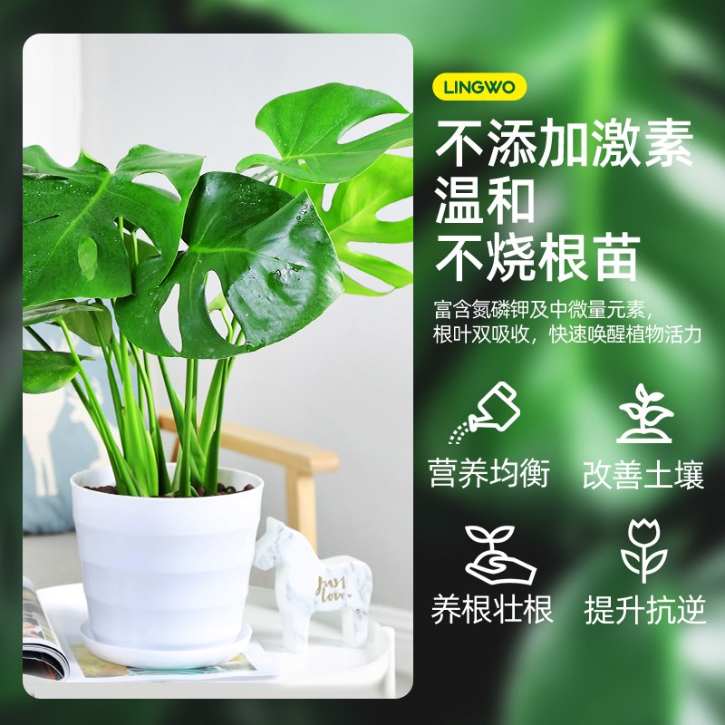 龟背竹专用肥植物营养液水培室内盆栽通用型绿植花卉养花肥免稀释