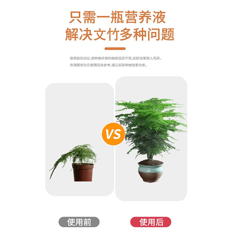 文竹营养液治黄叶专用免稀释植物水培通用型室内盆栽绿植花卉直喷