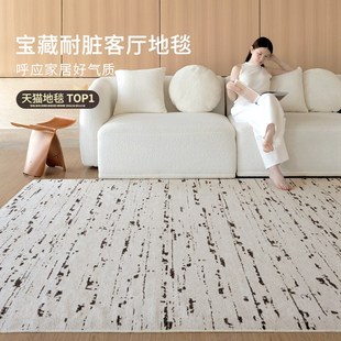 沙发卧室家用双层可拆洗奶油风轻奢高级感 可机洗地毯客厅2024新款