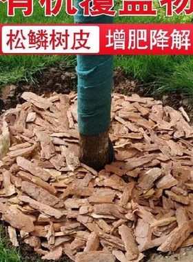 红色有机树皮透气木趣木屑花卉铺土绿植地舖地面社区木质保湿生态