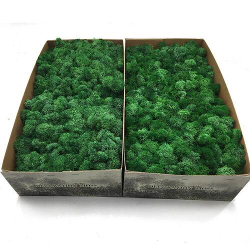云南厂家苔藓永生花干花家居装饰量大从优