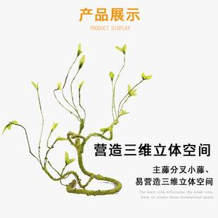 爬宠爬藤攀爬树蛙姥爷蛙睫角守宫蛇寄居蟹仿真绿树藤饲养箱缸造景