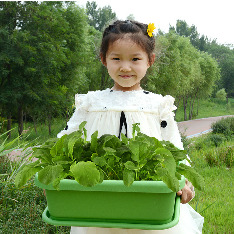 种菜盆蔬菜种植盆室内阳台种菜加厚塑料花盆土培蔬菜家庭菜园托盘