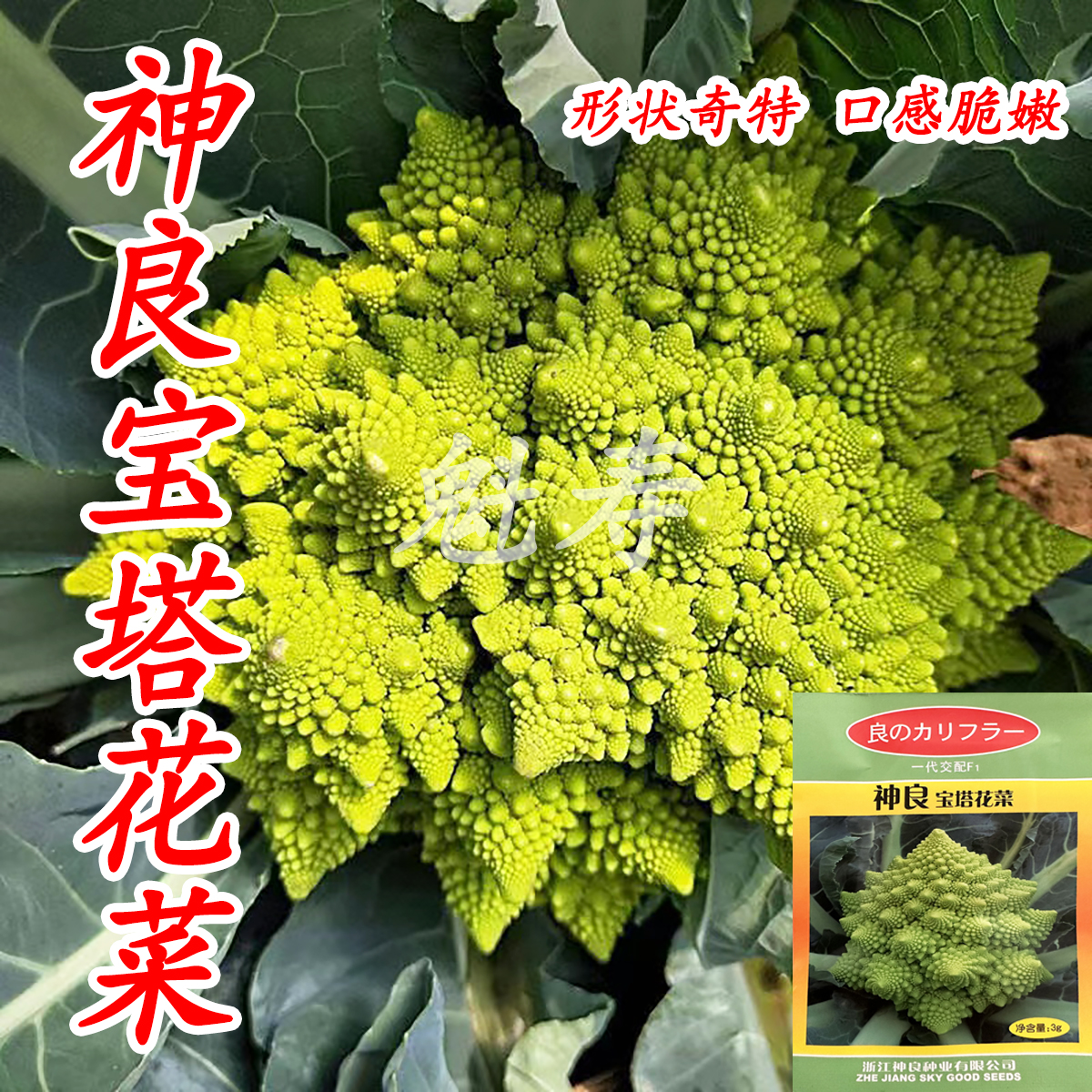 宝塔菜花椰菜蔬菜种子苗特色菜花花菜孑四季籽种蔬菜种籽秧菜籽-封面