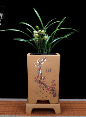 宜兴紫砂兰花专用盆四方形高档点彩E盆景陶瓷室内家用蕙兰墨兰花