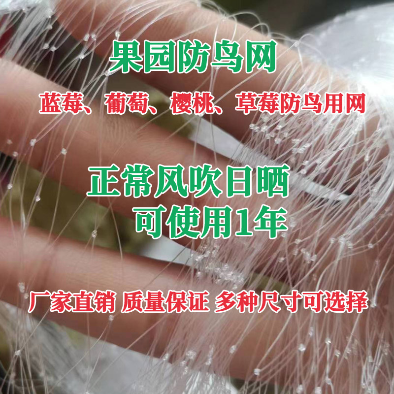 果园防鸟网防鸟蓝莓葡萄果树天网鱼塘牛蛙养殖P整体全覆盖露天天