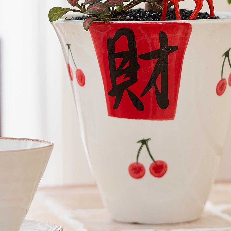 桌面绿植盆栽室内植物办公室客厅茶桌花卉四季好养发财树摆件盆景图片