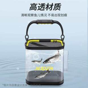 活鱼桶透明鱼桶路亚打水桶钓鱼桶装鱼水桶带盖带绳便携式鱼桶折叠