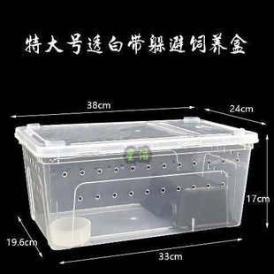 特大饲养盒乌龟爬宠箱蚕宝宝蜘蛛角蛙守宫盒蜥蜴宠物蛇昆虫乌龟缸
