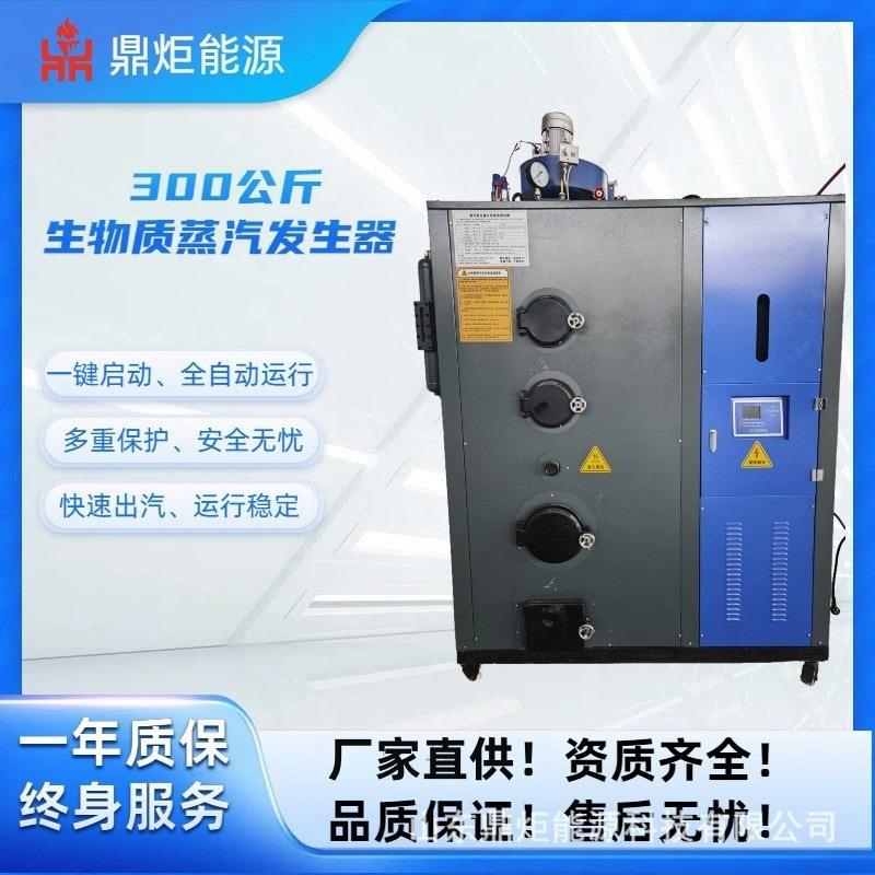 生物质颗粒炉蒸汽发生器道路养护电加热食品蒸煮工业节能蒸汽锅炉