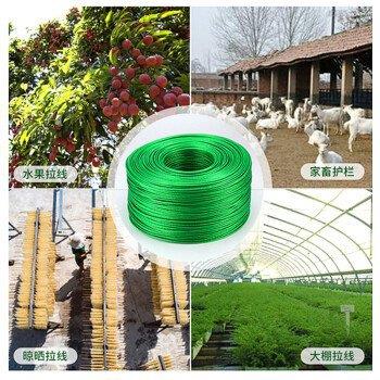 鸣固 包塑钢丝绳钢 货物绳捆绑绳 包装5mm10公 斤约DAZ160米