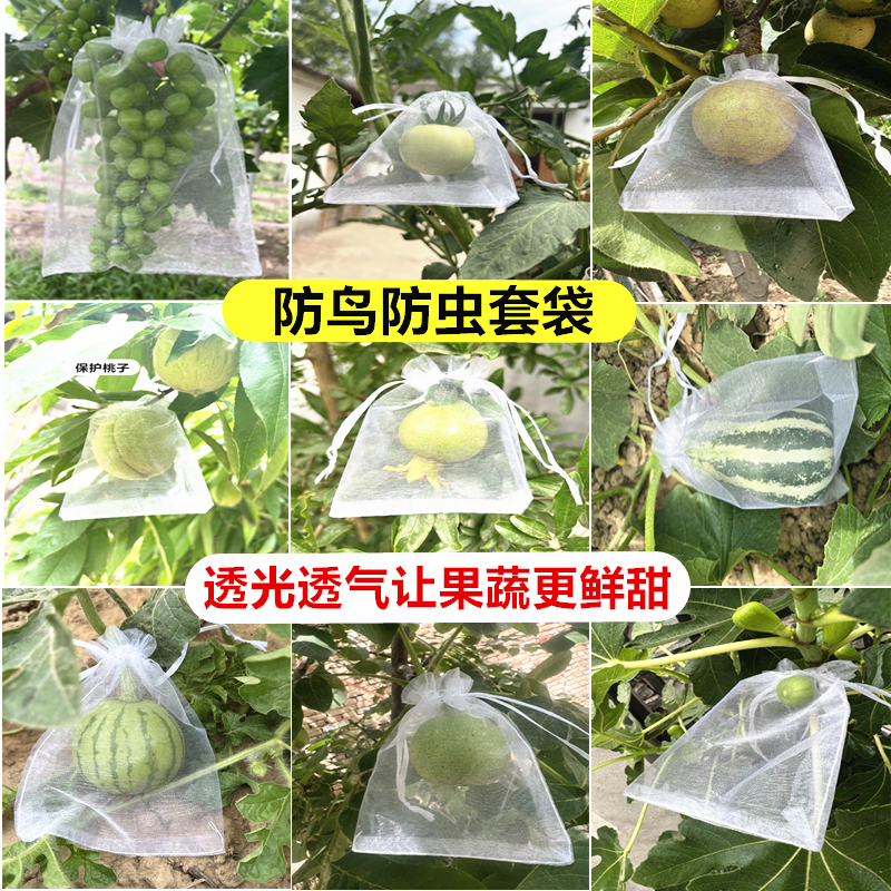 无花果套袋防虫袋瓜果防果蝇防鸟袋滤网浸种袋果树水果尼龙网袋