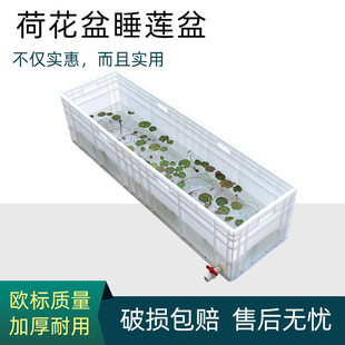 大型荷花盆缸睡莲池庭院大缸养睡莲的专用盆碗莲水莲花盆养鱼水箱