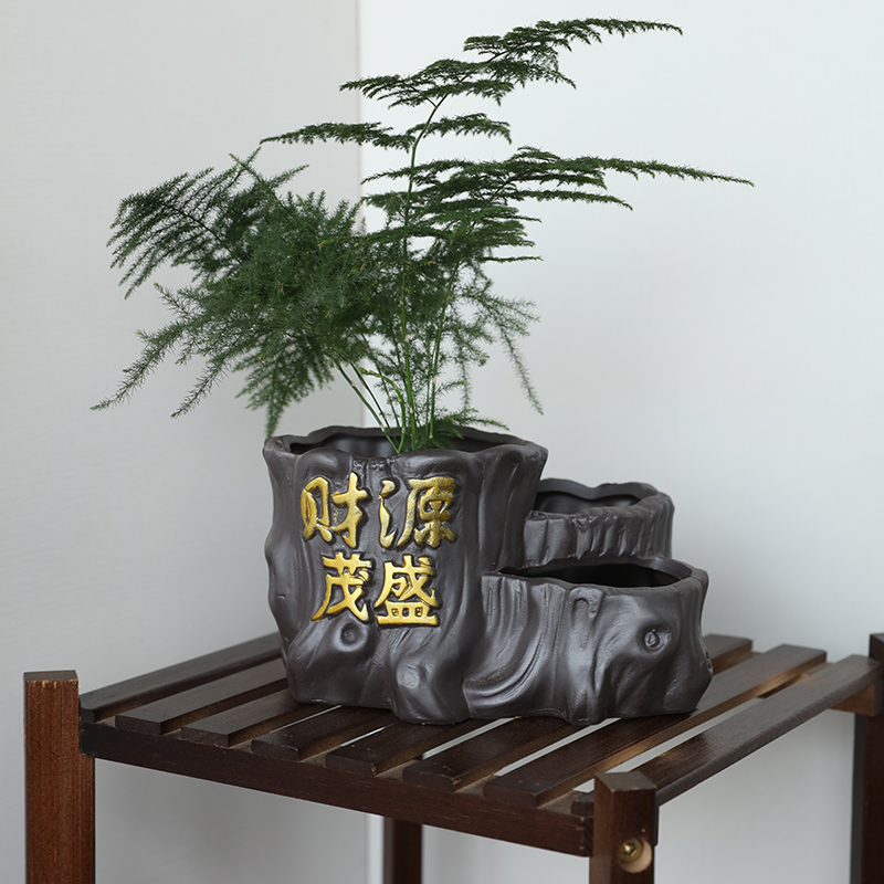 紫砂双口花盆发财树文竹小绿植物多口搭配个性连体福袋花盆