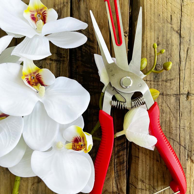 金钻双刃双口疏花疏果剪摘果采摘修枝剪园艺剪刀苹果梨树果树剪刀