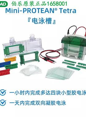 原装Bio-Rad伯乐电泳槽1658001Mini-ProteanTetra小型垂直蛋白WB