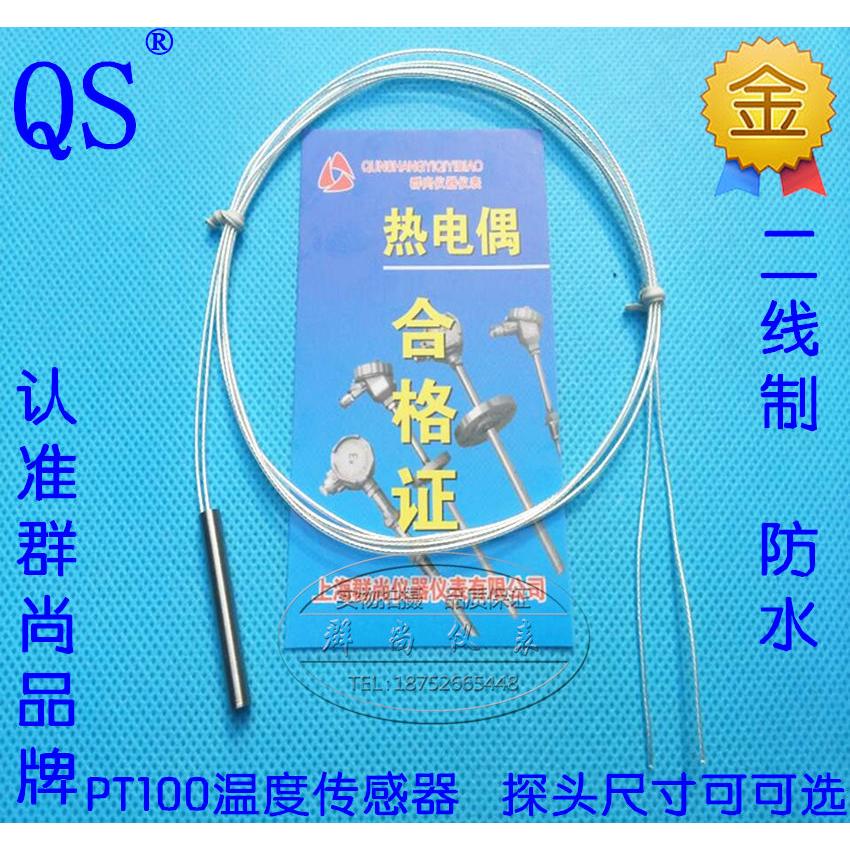 高精度Pt100热电阻 铂电阻 温度传感器探头Ф4×30mm×500mm 二线