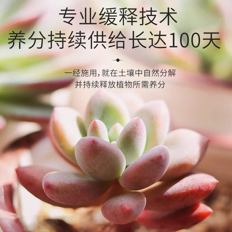 极速多肉肥料专用肥颗粒缓释肥花肥料三元复合肥通用型肉嘟嘟控释