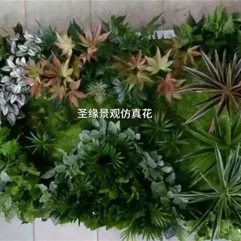 极速仿真植物墙草坪人造假青苔藓绿植墙地毯人工草皮绿植背景墙装