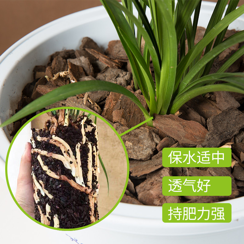 极速大包装发酵腐熟松树皮大块松鳞兰花植料蝴蝶兰铁皮石斛专用土