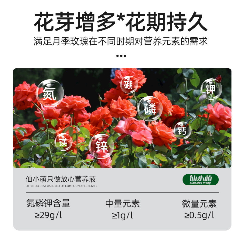 极速月季花专用肥肥料营养液玫瑰花蔷薇水溶肥养花花卉花肥植物通