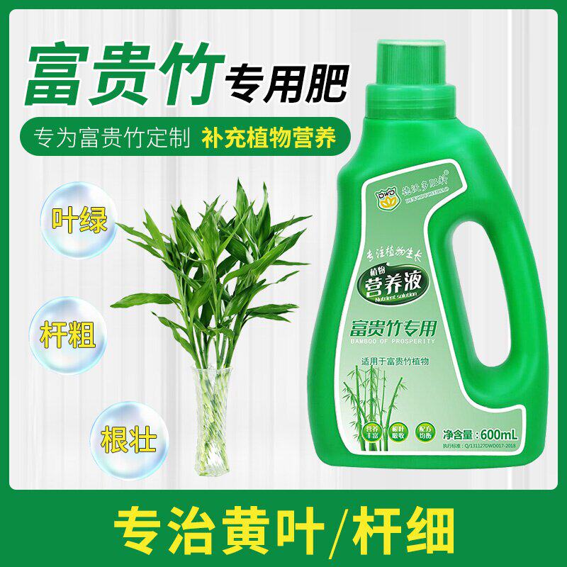 极速富贵竹专用型P营养液花肥料盆栽转运观音竹科植物水培水养通