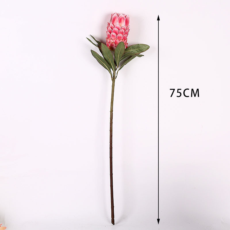 极速胶片长寿花仿真花假花帝王花 摄影道具家居婚庆装饰厂家直销