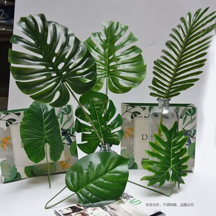 极速Bamboo of curvature of the shooting simulation flowers
