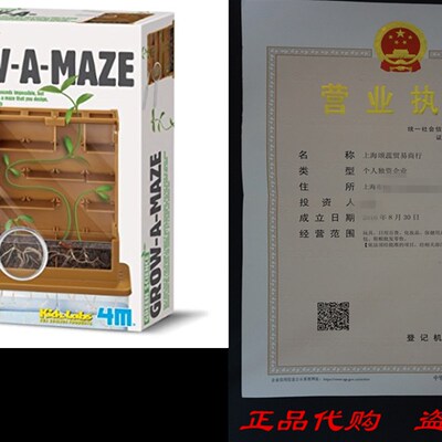 极速4M Grow a Maze Kit