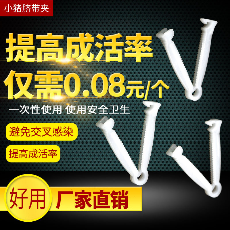 好货小猪用脐带夹仔猪护脐带小猪猪用猪剪断齐断脐扣养猪设备兽用