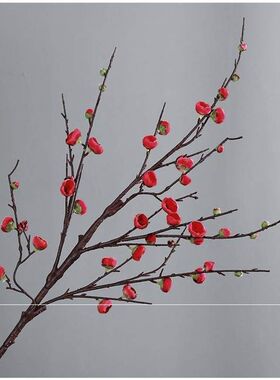 极速干花干枝梅仿真花大银柳发财果客厅装饰花腊梅花雪花梅插花花