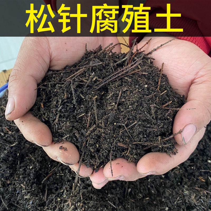 极速腐熟松针腐殖土天然有机腐叶种植土养花种菜专用酸性通用型营