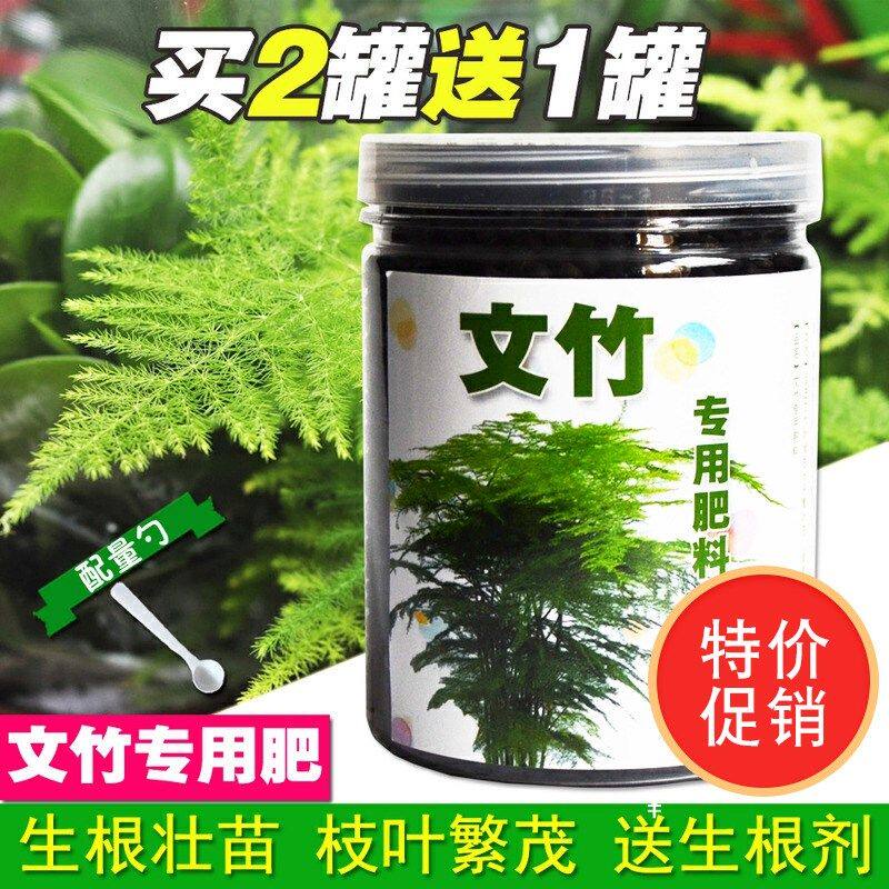 极速文竹植物专用土培营养液有机肥肥专用文竹云竹富贵竹棕竹植物
