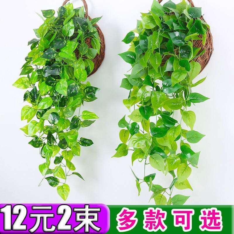 极速假绿箩长藤款 装饰室内吊顶假绿萝叶子葡萄爬藤条树叶塑料花
