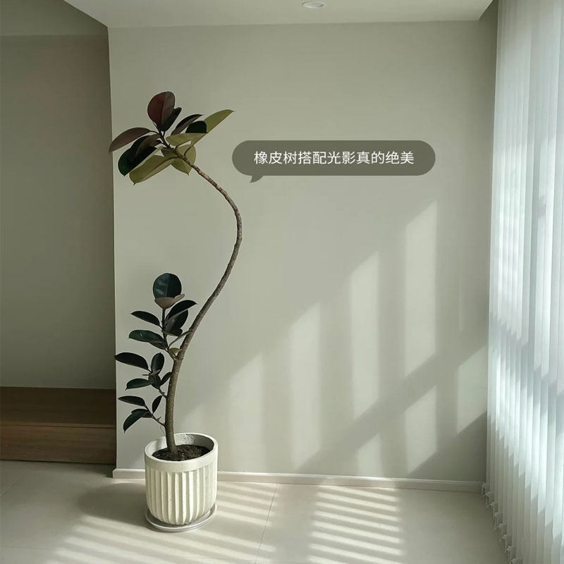 好货仿真绿植高端轻奢橡皮树室内大型客厅仿生花假植物盆栽装饰摆