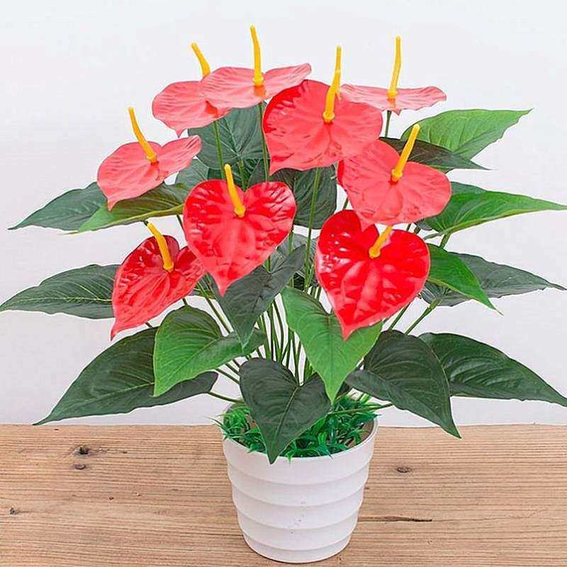 极速包邮仿真绿植红掌假花客厅装饰绿色植物落地假花盆栽摆设盆栽