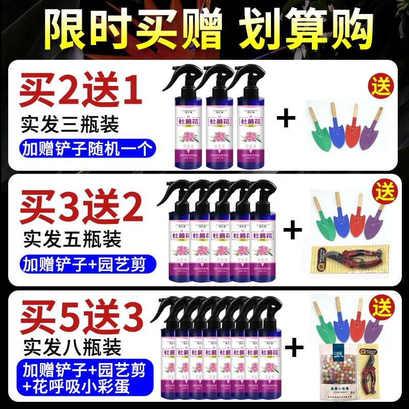 极速杜鹃花专用肥叶子发黄烂根烂叶乾枯生长衰弱一喷绿植物通用营
